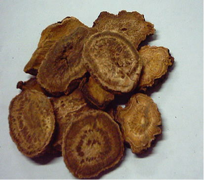 SƬ